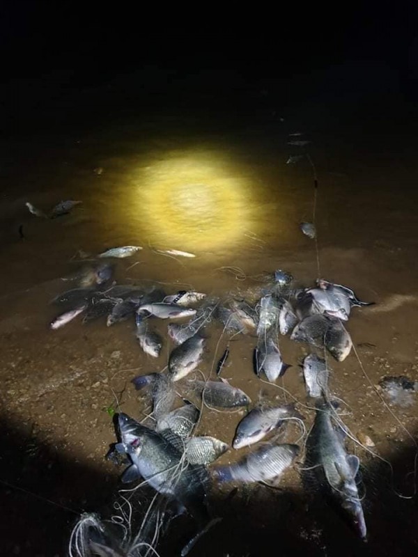 Бракониер на яз. Копринка успя да избяга от ЦРОО и ИАРА 