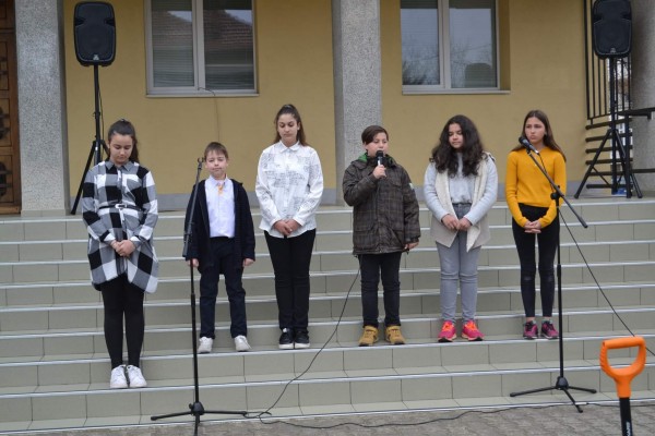 Кирковци посадиха копринено дърво пред училището си