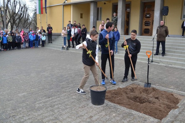 Кирковци посадиха копринено дърво пред училището си