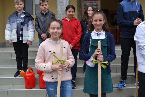 Кирковци посадиха копринено дърво пред училището си