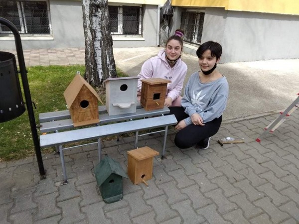 Кирковци поставиха къщички за птици в  двора на училището