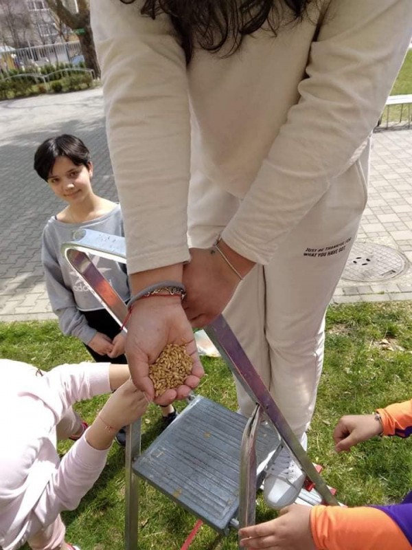 Кирковци поставиха къщички за птици в  двора на училището