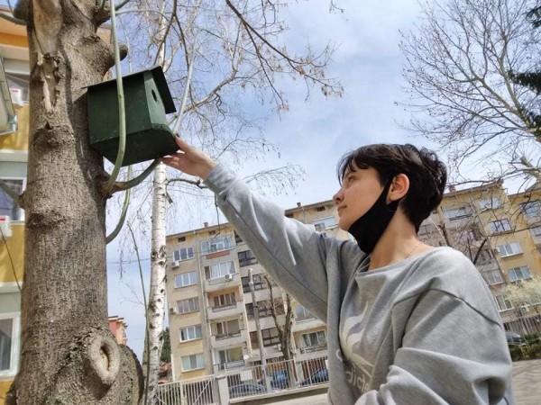 Кирковци поставиха къщички за птици в  двора на училището