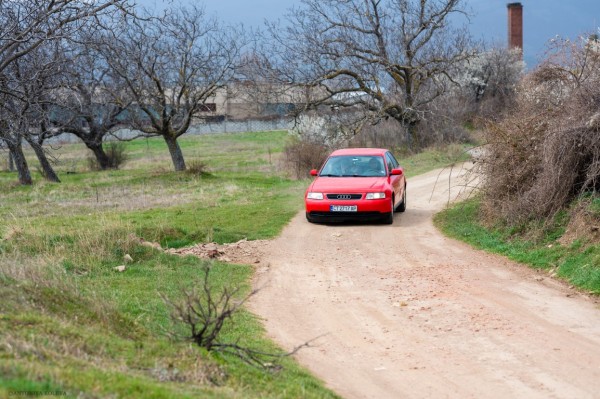 Абитуриенти от хуманитарната гимназия засадиха горичка и я кръстиха на класния си