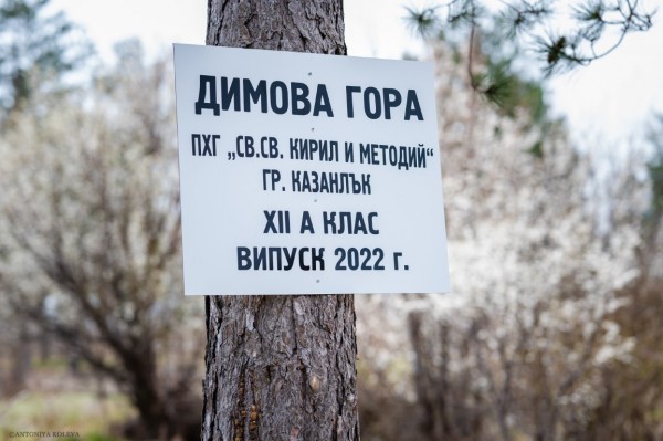 Абитуриенти от хуманитарната гимназия засадиха горичка и я кръстиха на класния си