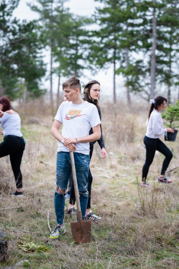 Абитуриенти от хуманитарната гимназия засадиха горичка и я кръстиха на класния си