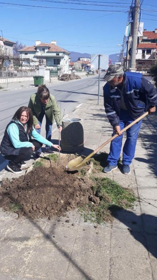 Павелбанци засаждат над 200 фиданки в Седмицата на гората