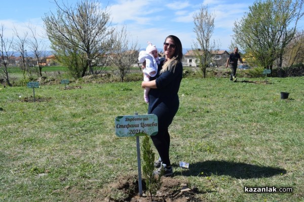 “Гората на децата“ в Енина