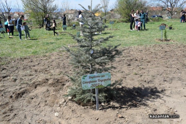 “Гората на децата“ в Енина