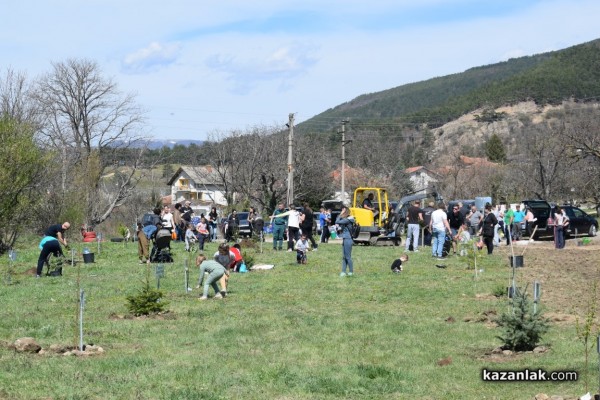 Над 47 семейства засадиха дръвчета в “Гората на децата“ в село Енина 