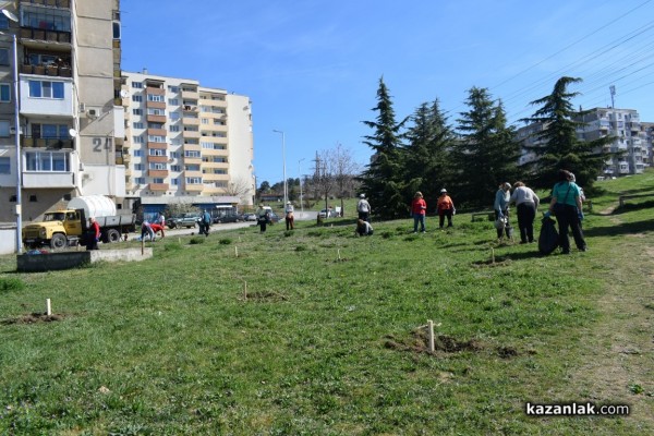 120 дръвчета за 120 г. ТД “Орлово гнездо“