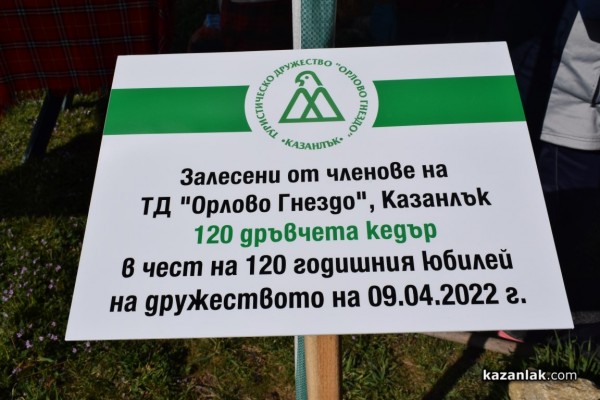 120 кедрови дръвчета бяха залесени от казанлъшкото туристическо дружество „Орлово гнездо” 