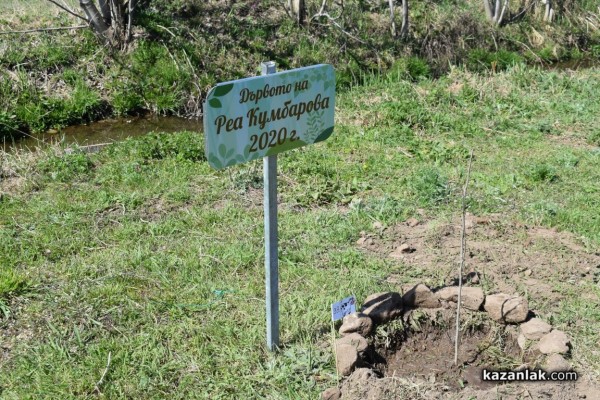 Над 47 семейства засадиха дръвчета в “Гората на децата“ в село Енина 