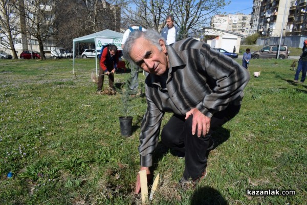 120 кедрови дръвчета бяха залесени от казанлъшкото туристическо дружество „Орлово гнездо” 
