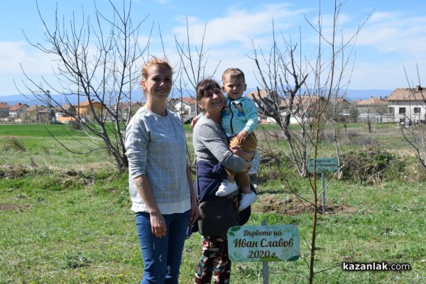 “Гората на децата“ в Енина