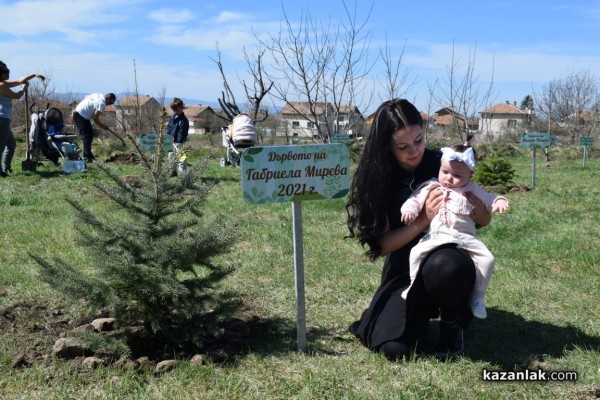 “Гората на децата“ в Енина