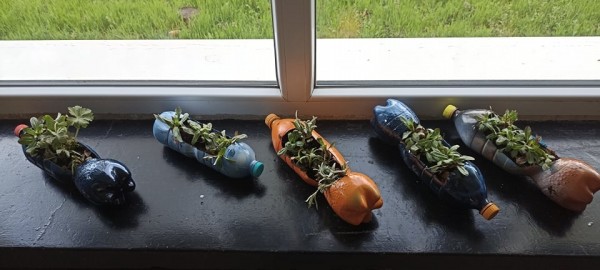 Екопразник в ПГЛПТ по повод Деня на Земята