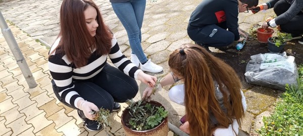 Екопразник в ПГЛПТ по повод Деня на Земята