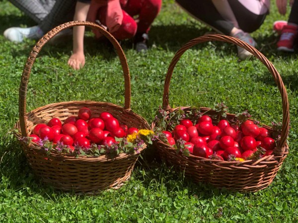На Велика събота, деца шариха яйца с отец Панкратий в Шипка