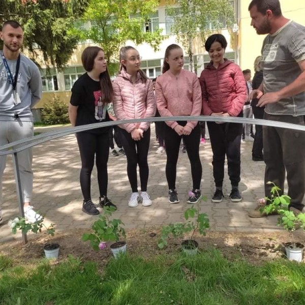 Седмокласници засадиха рози Дамасцена в двора на училището си
