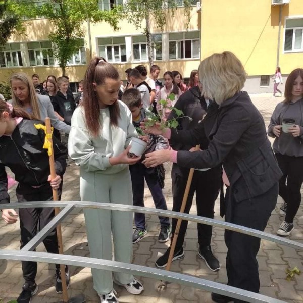 Седмокласници засадиха рози Дамасцена в двора на училището си