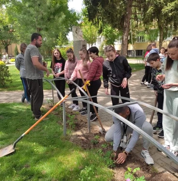 Седмокласници засадиха рози Дамасцена в двора на училището си