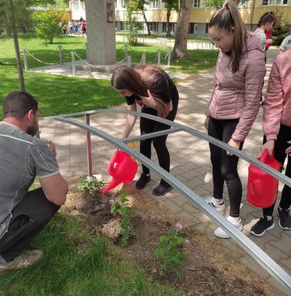 Седмокласници засадиха рози Дамасцена в двора на училището си