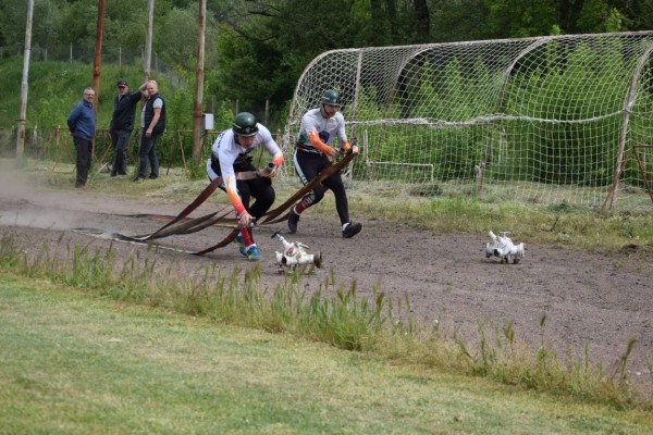 Наградиха пожарникарите, победители в състезанието по “Пожароприложен спорт“ в Казанлък 