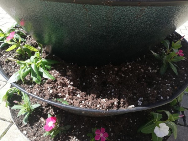 Казанлък става все по-цветен 