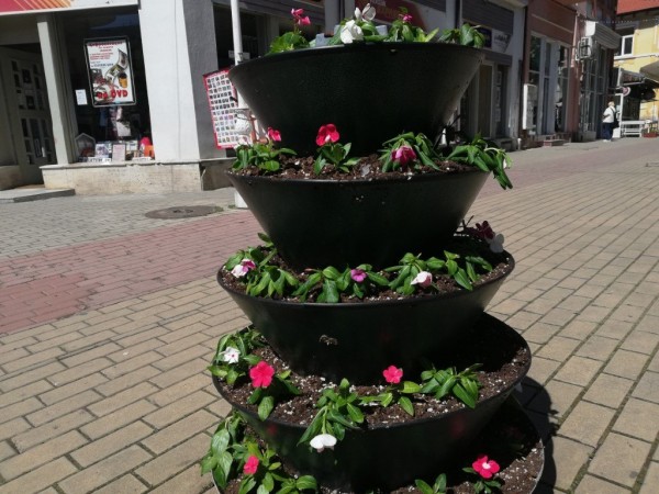 Казанлък става все по-цветен 