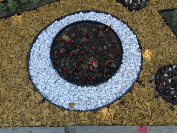 Казанлък става все по-цветен 