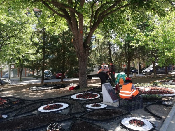 Казанлък става все по-цветен 