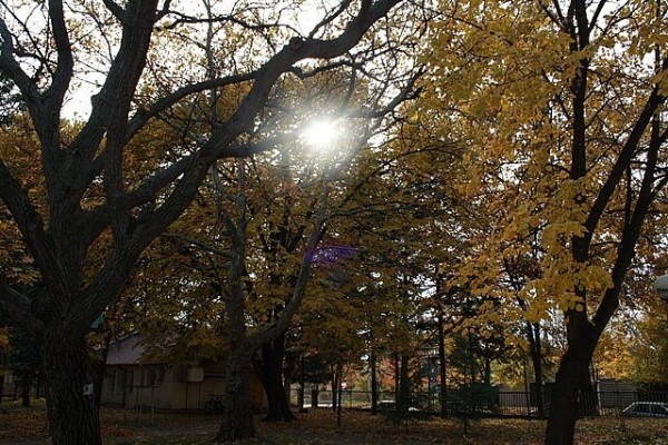 ПГЛПТ спечели проект за училищния си екопарк