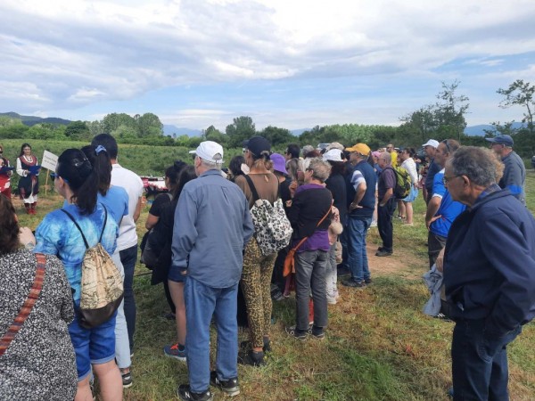Насладете се на ароматните розови утрини в Казанлък