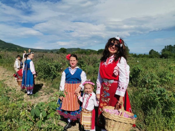 Насладете се на ароматните розови утрини в Казанлък