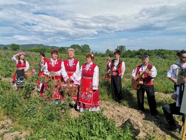 Насладете се на ароматните розови утрини в Казанлък