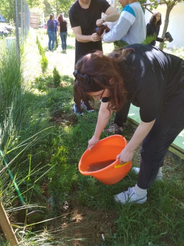 Доброволките в Шейново разкрасиха дворовете на центрове за настаняване