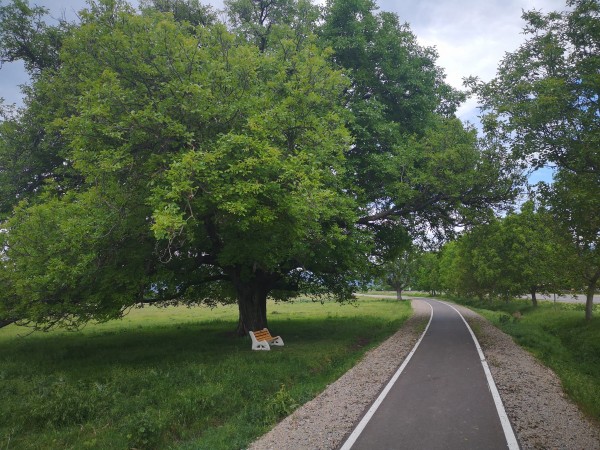 Ротарианци поставиха пейки на живописни места край велоалеята Казанлък - Шипка