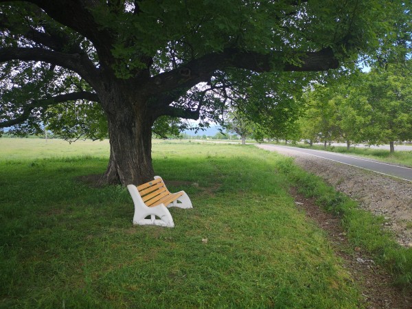 Ротарианци поставиха пейки на живописни места край велоалеята Казанлък - Шипка