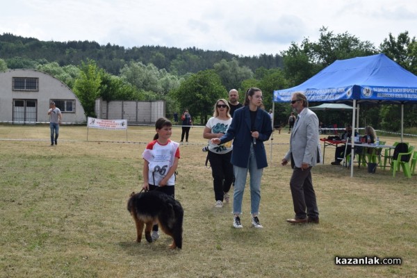 В Казанлък се проведе  специализирана изложба на Немски овчарски кучета