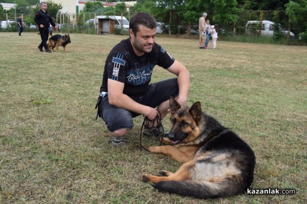 В Казанлък се проведе  специализирана изложба на Немски овчарски кучета