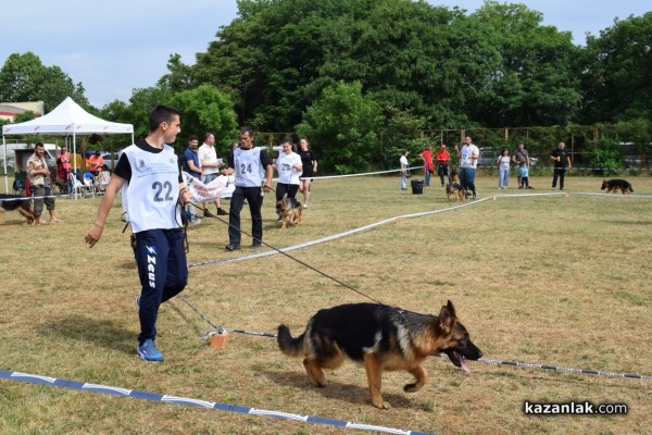 В Казанлък се проведе  специализирана изложба на Немски овчарски кучета