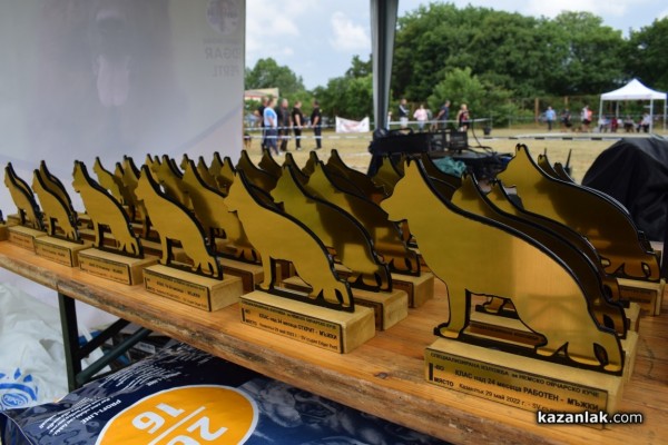 В Казанлък се проведе  специализирана изложба на Немски овчарски кучета