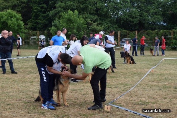 В Казанлък се проведе  специализирана изложба на Немски овчарски кучета