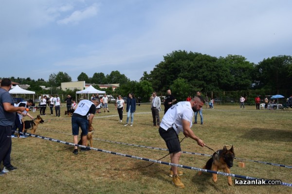 В Казанлък се проведе  специализирана изложба на Немски овчарски кучета