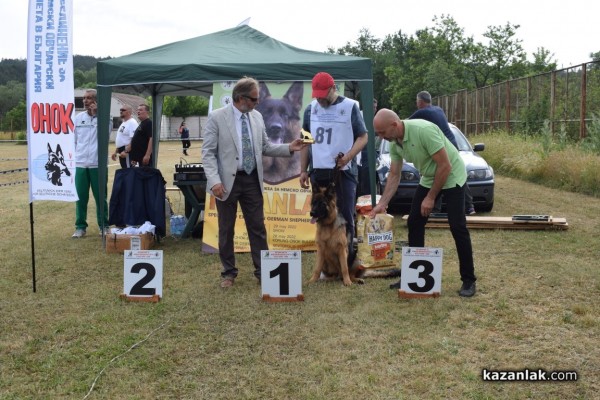 В Казанлък се проведе  специализирана изложба на Немски овчарски кучета