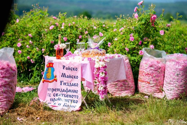 Семейство сключи брак в розови градини край Казанлък