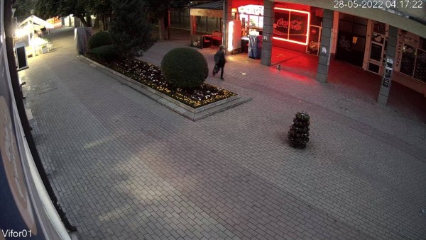 Отново набези в цветните площи в центъра - камерите заснеха извършителите