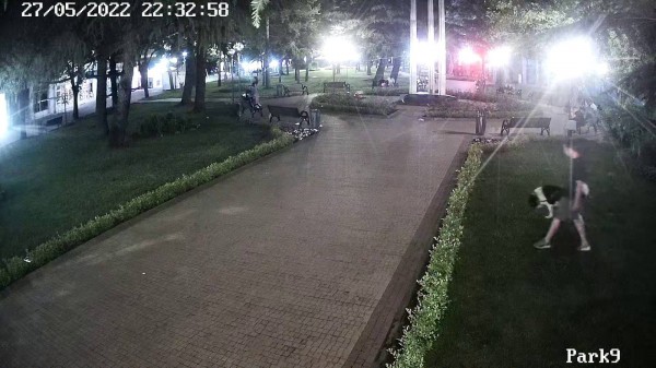 Отново набези в цветните площи в центъра - камерите заснеха извършителите