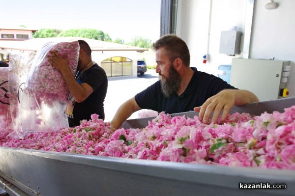 Новата дестилерия Terra Roza, на световния гигант dōTERRA, бе посетена от посланика на САЩ в България Херо Мустафа